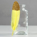 Набор перьев гуся 15-20 см, 10 шт, жёлтый с золотой крошкой - фото 319652768