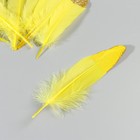 Набор перьев гуся 15-20 см, 10 шт, жёлтый с золотой крошкой - фото 7008035