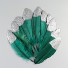 Набор перьев гуся 15-20 см, 10 шт, тёмно-зелёный с серебрянной крошкой - фото 7008041