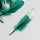 Набор перьев гуся 15-20 см, 10 шт, тёмно-зелёный с серебрянной крошкой - фото 7008042