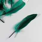 Набор перьев гуся 15-20 см, 10 шт, тёмно-зелёный с серебрянной крошкой - фото 7008043