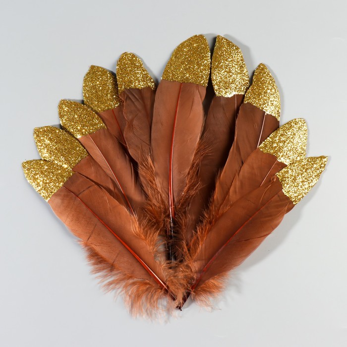 Набор перьев гуся 15-20 см, 10 шт, коричневый с золотой крошкой