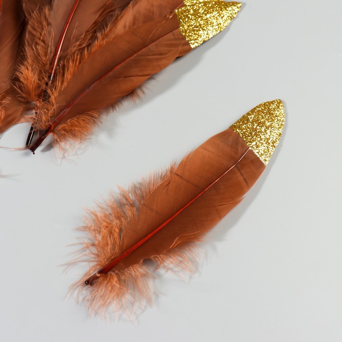 Набор перьев гуся 15-20 см, 10 шт, коричневый с золотой крошкой