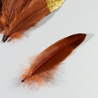Набор перьев гуся 15-20 см, 10 шт, коричневый с золотой крошкой - фото 7008047