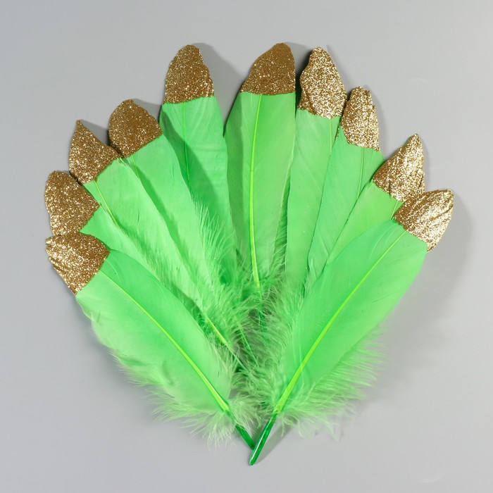 Набор перьев гуся 15-20 см, 10 шт, зелёное яблоко с золотой крошкой