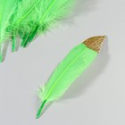 Набор перьев гуся 15-20 см, 10 шт, зелёное яблоко с золотой крошкой - фото 7008054