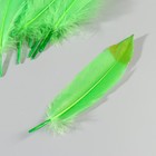 Набор перьев гуся 15-20 см, 10 шт, зелёное яблоко с золотой крошкой - фото 7008055
