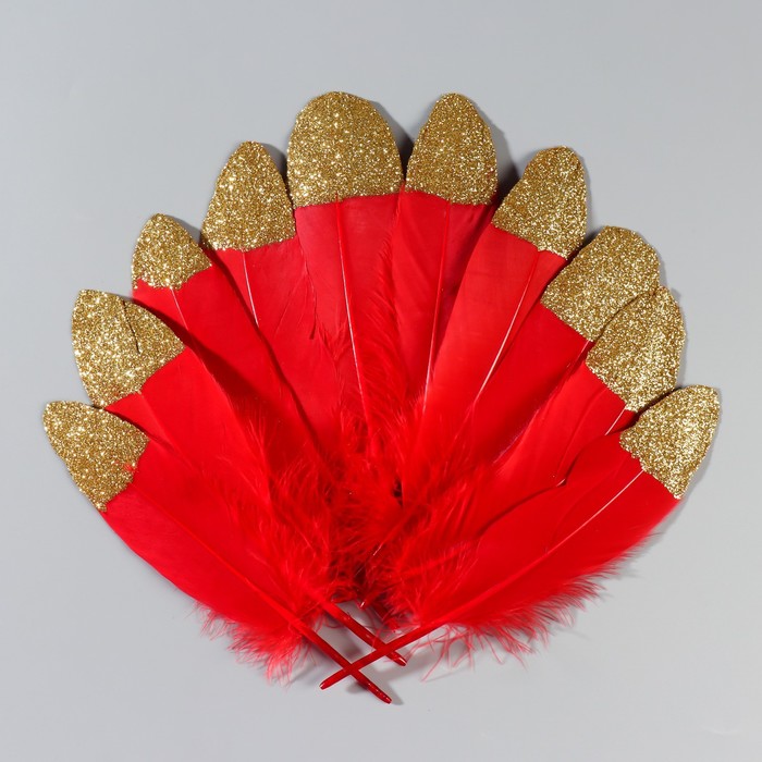 Набор перьев гуся 15-20 см, 10 шт, красный с золотой крошкой