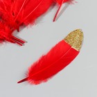 Набор перьев гуся 15-20 см, 10 шт, красный с золотой крошкой - фото 7008058