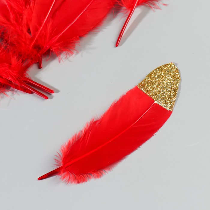 Набор перьев гуся 15-20 см, 10 шт, красный с золотой крошкой