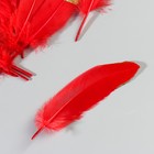 Набор перьев гуся 15-20 см, 10 шт, красный с золотой крошкой - фото 7008059