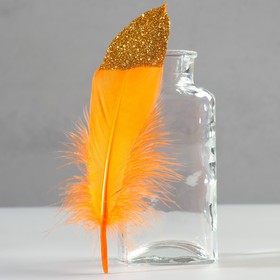 Набор перьев гуся 15-20 см, 10 шт, оранжевый с золотой крошкой