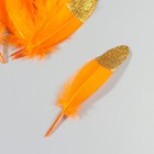 Набор перьев гуся 15-20 см, 10 шт, оранжевый с золотой крошкой - фото 7008062