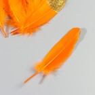 Набор перьев гуся 15-20 см, 10 шт, оранжевый с золотой крошкой - фото 7008063