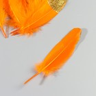 Набор перьев гуся 15-20 см, 10 шт, оранжевый с золотой крошкой - фото 22404639