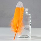 Набор перьев гуся 15-20 см, 10 шт, оранжевый с серебрянной крошкой - фото 319652800