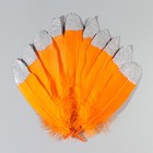 Набор перьев гуся 15-20 см, 10 шт, оранжевый с серебрянной крошкой - фото 7008065