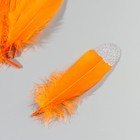 Набор перьев гуся 15-20 см, 10 шт, оранжевый с серебрянной крошкой - фото 7008066
