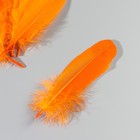 Набор перьев гуся 15-20 см, 10 шт, оранжевый с серебрянной крошкой - фото 7008067