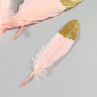 Набор перьев гуся 15-20 см, 10 шт, розовый с золотой крошкой - фото 7008070