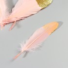 Набор перьев гуся 15-20 см, 10 шт, розовый с золотой крошкой - фото 7008071
