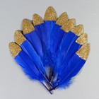 Набор перьев гуся 15-20 см, 10 шт, синий с золотой крошкой - фото 22404649