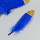 Набор перьев гуся 15-20 см, 10 шт, синий с золотой крошкой - фото 7008074