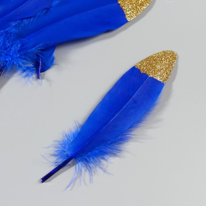 Набор перьев гуся 15-20 см, 10 шт, синий с золотой крошкой