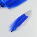 Набор перьев гуся 15-20 см, 10 шт, синий с серебрянной крошкой - фото 7008078