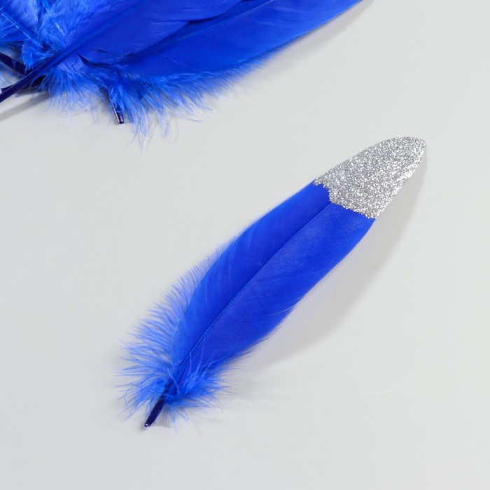 Набор перьев гуся 15-20 см, 10 шт, синий с серебрянной крошкой