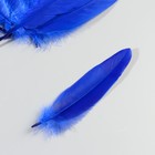 Набор перьев гуся 15-20 см, 10 шт, синий с серебрянной крошкой - фото 7008079