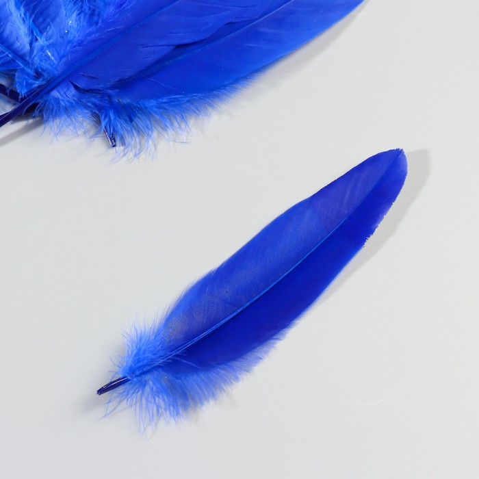 Набор перьев гуся 15-20 см, 10 шт, синий с серебрянной крошкой