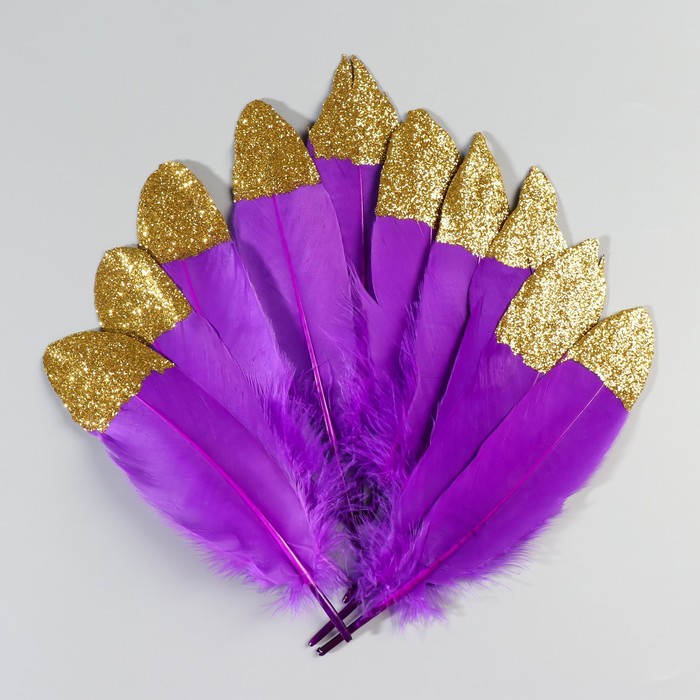 Набор перьев гуся 15-20 см, 10 шт, фиолетовый с золотой крошкой