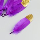 Набор перьев гуся 15-20 см, 10 шт, фиолетовый с золотой крошкой - фото 7008082