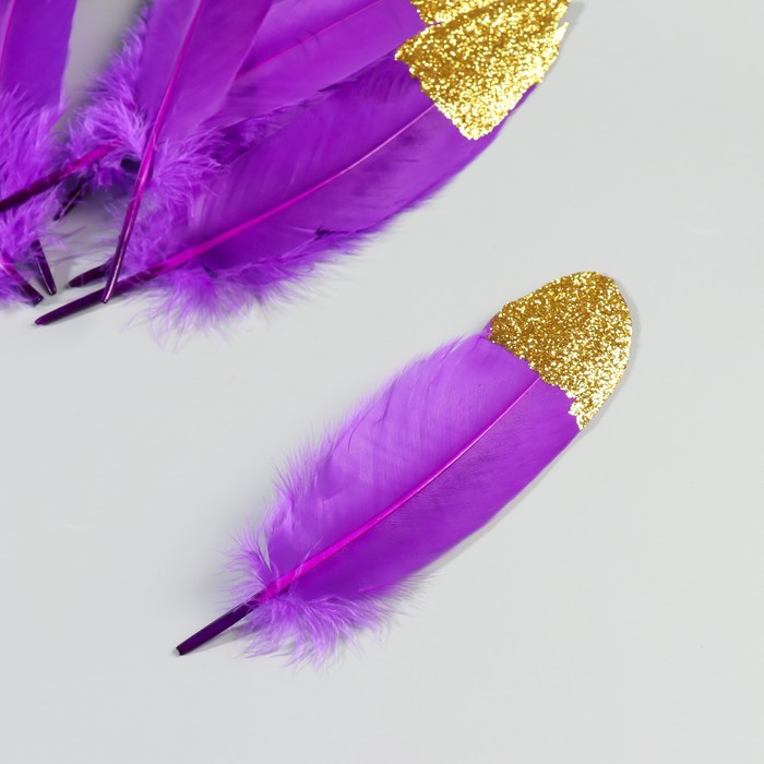 Набор перьев гуся 15-20 см, 10 шт, фиолетовый с золотой крошкой