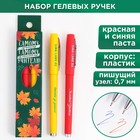 Ручка гелевая «Самому классному учителю», 2 штуки, синяя и красная паста,пишущий узел 0.7 - фото 10350274