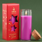 Новогодняя свеча в колбе «Малина» - фото 10692425