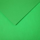 Бумага цветная CANSON Iris Vivaldi, 21 х 29.7 см, 1 лист, №29 Зеленый яркий, 120 г/м2 - фото 10692449