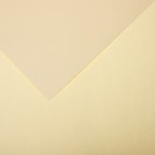 Бумага цветная CANSON Iris Vivaldi, 21 х 29.7 см, 1 лист, №02 Кремовый, 120 г/м2 - фото 10692450
