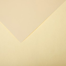 Бумага цветная CANSON Iris Vivaldi, 21 х 29.7 см, 1 лист, №02 Кремовый, 120 г/м2