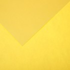 Бумага цветная CANSON Iris Vivaldi, 21 х 29.7 см, 1 лист, №03 Желтый соломенный, 120 г/м2 - фото 10692451