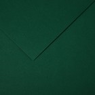 Бумага цветная CANSON Iris Vivaldi, 21 х 29.7 см, 1 лист, №31 Зеленый еловый, 120 г/м2 - фото 10692465