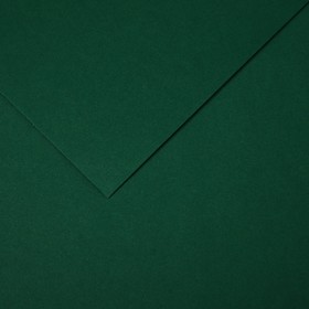 Бумага цветная CANSON Iris Vivaldi, 21 х 29.7 см, 1 лист, №31 Зеленый еловый, 120 г/м2
