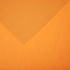 Бумага цветная CANSON Iris Vivaldi, 21 х 29.7 см, 1 лист, №32 Оранжевая кожа, 120 г/м2 - фото 10692466