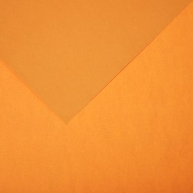 Бумага цветная CANSON Iris Vivaldi, 21 х 29.7 см, 1 лист, №32 Оранжевая кожа, 120 г/м2