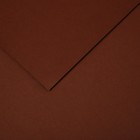 Бумага цветная CANSON Iris Vivaldi, 21 х 29.7 см, 1 лист, №34 Шоколадный, 120 г/м2 - фото 10692468