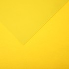 Бумага цветная CANSON Iris Vivaldi, 21 х 29.7 см, 1 лист, №04 Желтый канареечный, 240 г/м2 - фото 10692471