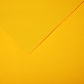 Бумага цветная CANSON Iris Vivaldi, 21 х 29.7 см, 1 лист, №05 Желтый лютик, 240 г/м2