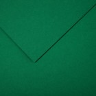 Бумага цветная CANSON Iris Vivaldi, 21 х 29.7 см, 1 лист, №30 Зеленый мох, 240 г/м2 - фото 10692480