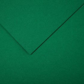 Бумага цветная CANSON Iris Vivaldi, 21 х 29.7 см, 1 лист, №30 Зеленый мох, 240 г/м2
